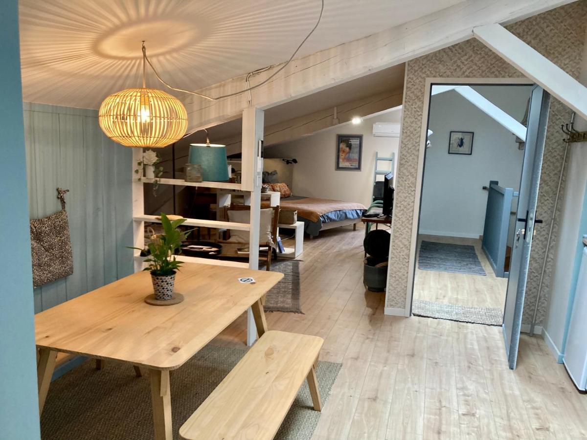 16 Bis-Gite-Hotel-Studio Marssac-sur-Tarn エクステリア 写真
