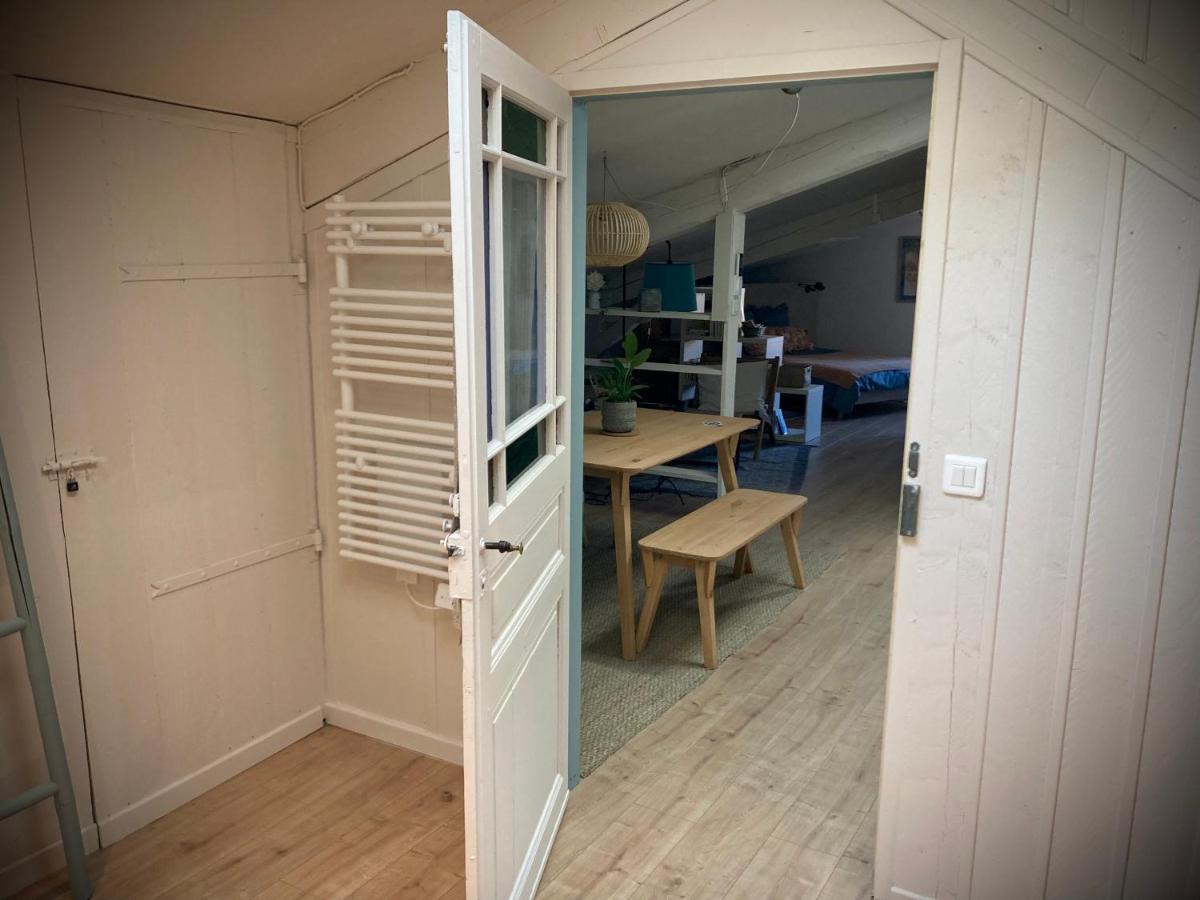 16 Bis-Gite-Hotel-Studio Marssac-sur-Tarn エクステリア 写真